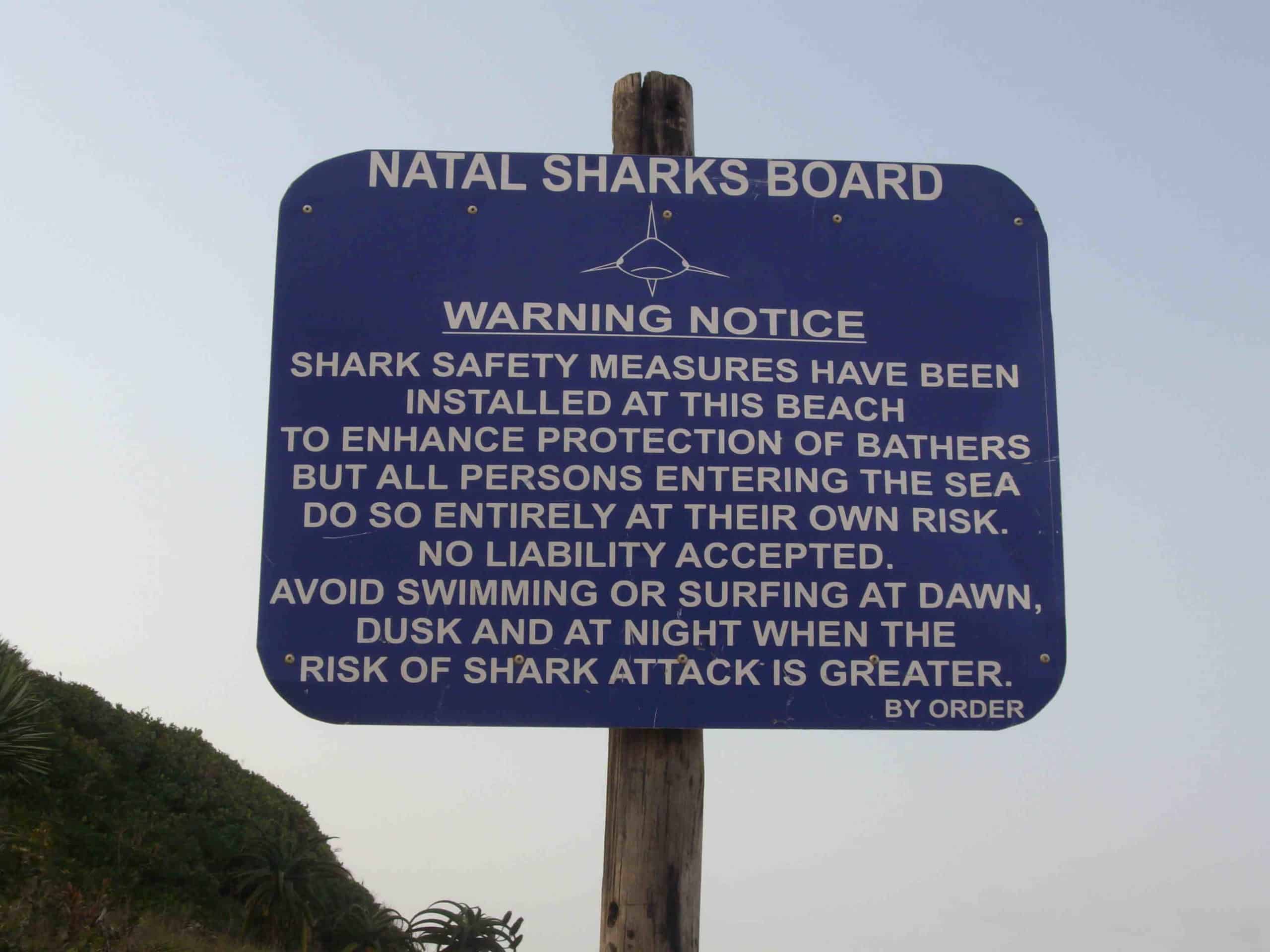What do you do if you are being attacked by a shark?