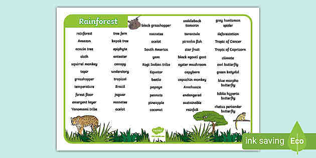 What is a sentence for rainforest?