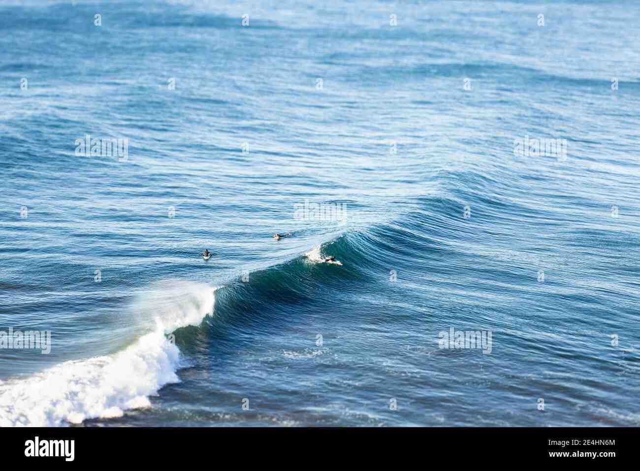 What part of the ocean has the biggest waves?