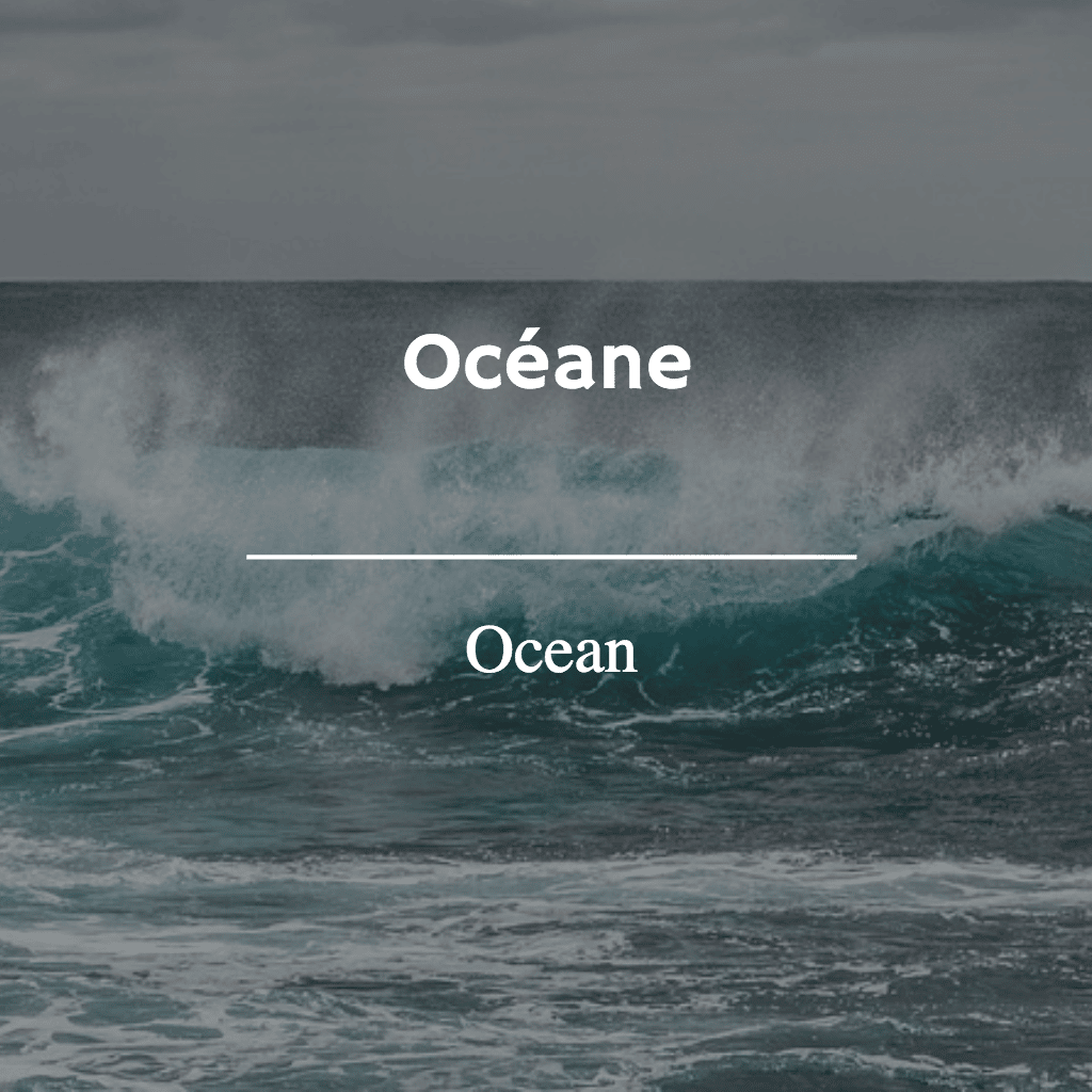What word is related to ocean?