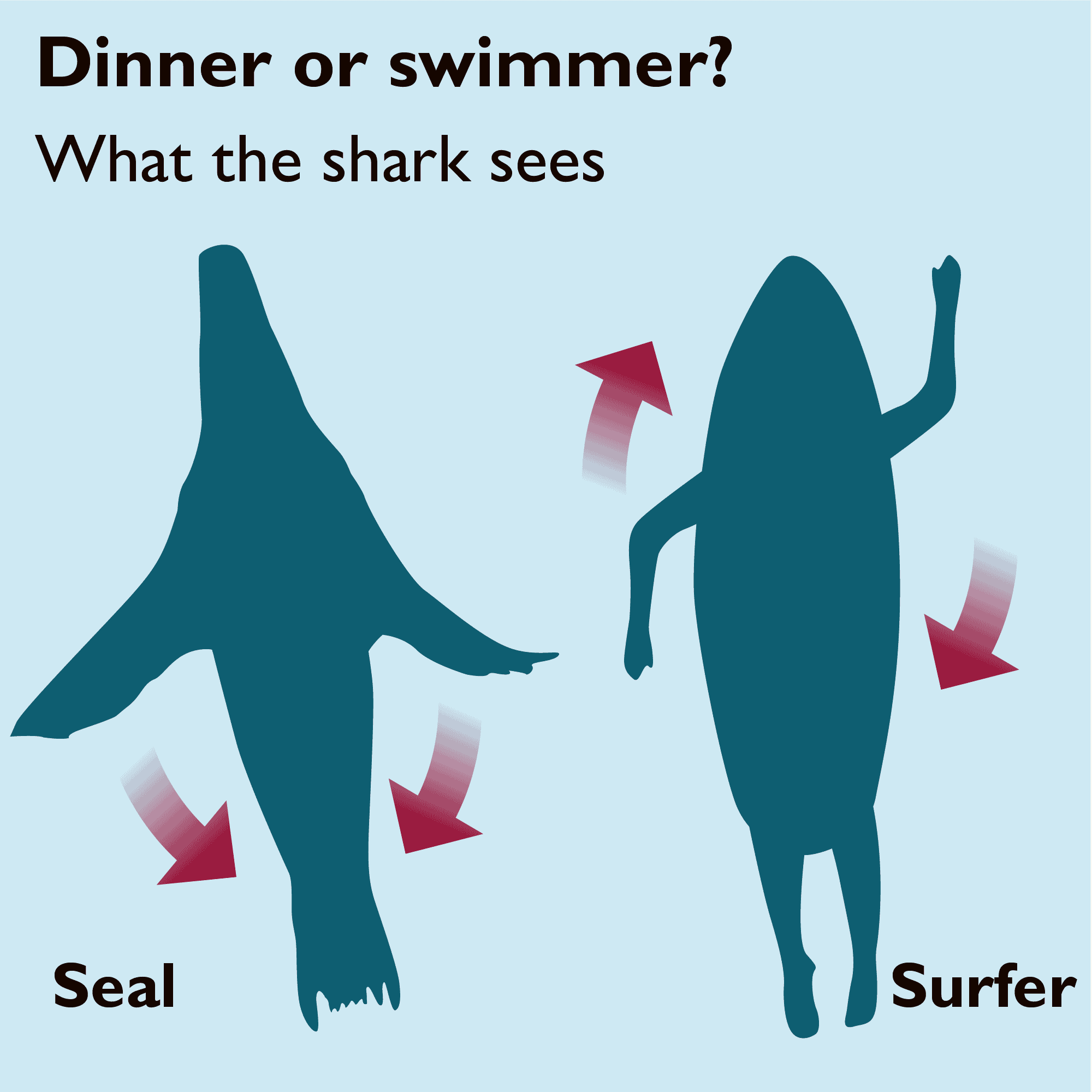 Are sharks afraid of us?