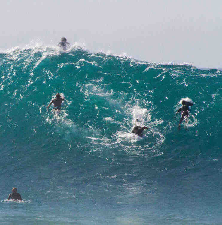 Can fat people surf?