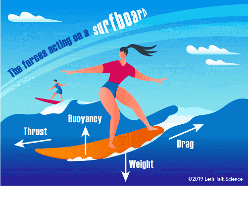 How does surfing change your body?