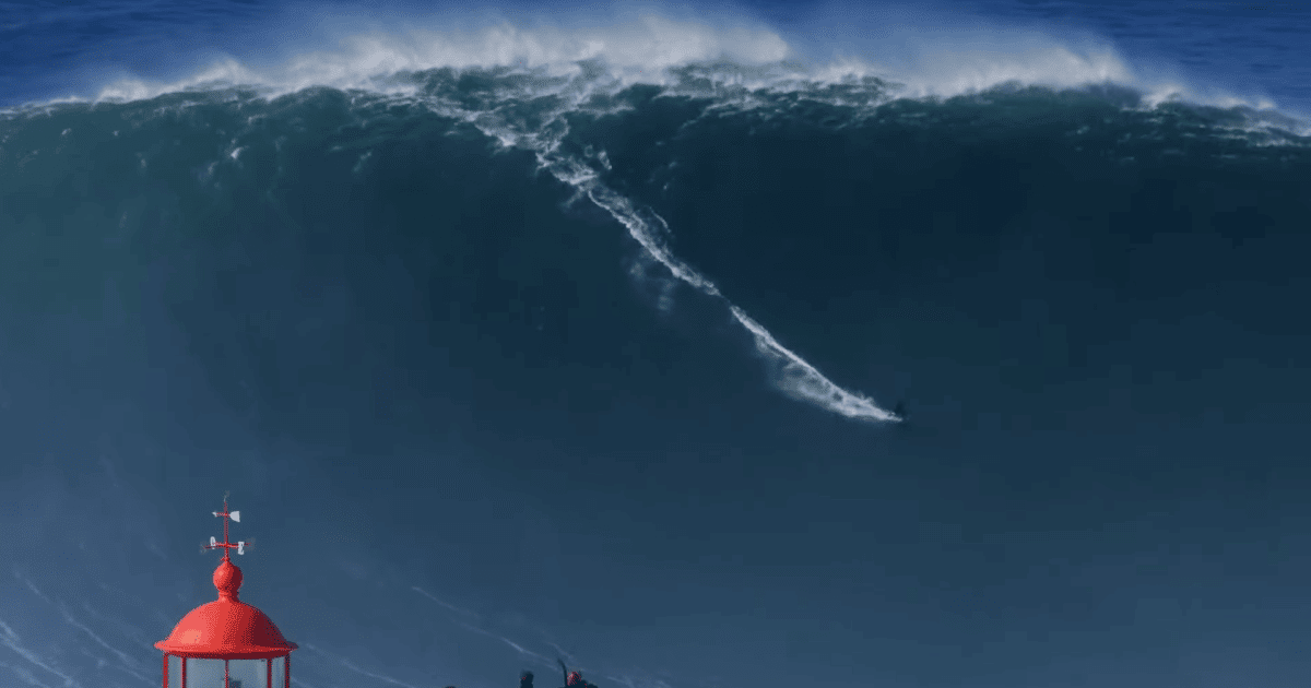 Who is the tallest surfer?