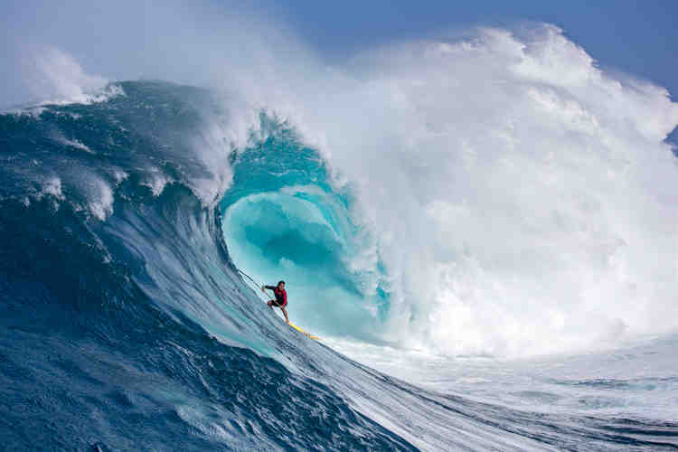 Who's the highest paid surfer?