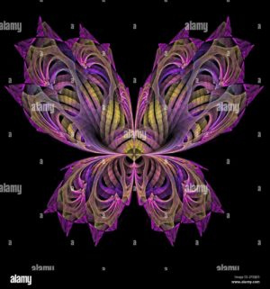 Are Butterflies fractal?
