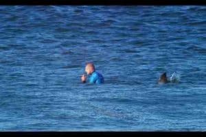 How did Mick Fanning fight off shark?