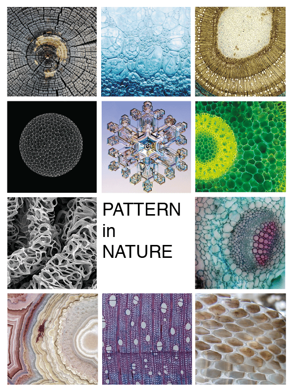 How many patterns are there in nature?