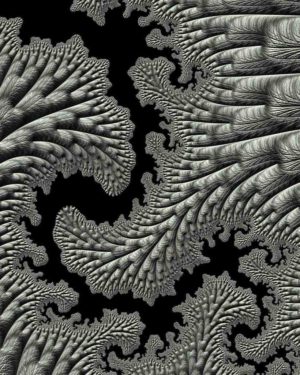 Is Coral a fractal?