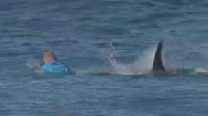 Was Mick Fanning attacked twice by a shark?