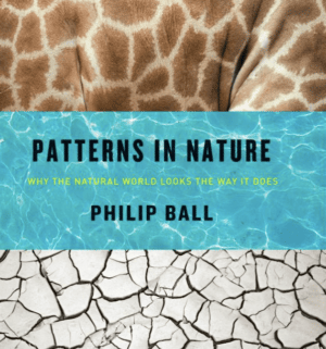 What are the 10 patterns of nature?