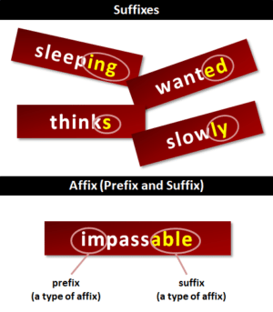 What are the 5 most common suffixes?