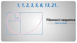What are the 5 patterns in nature How is Fibonacci related to nature?