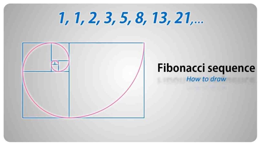 What are the 5 patterns in nature How is Fibonacci related to nature?