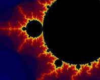 What is so special about fractals?