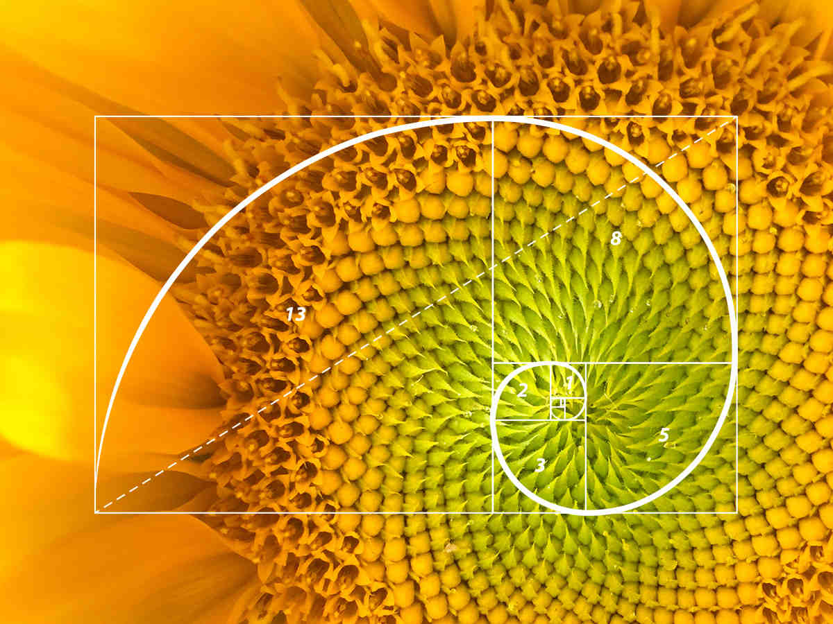 What is your insight about Fibonacci sequence?