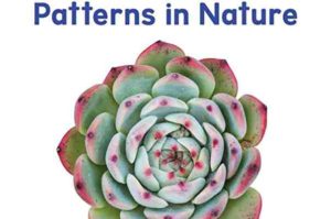 Why are there patterns in nature?