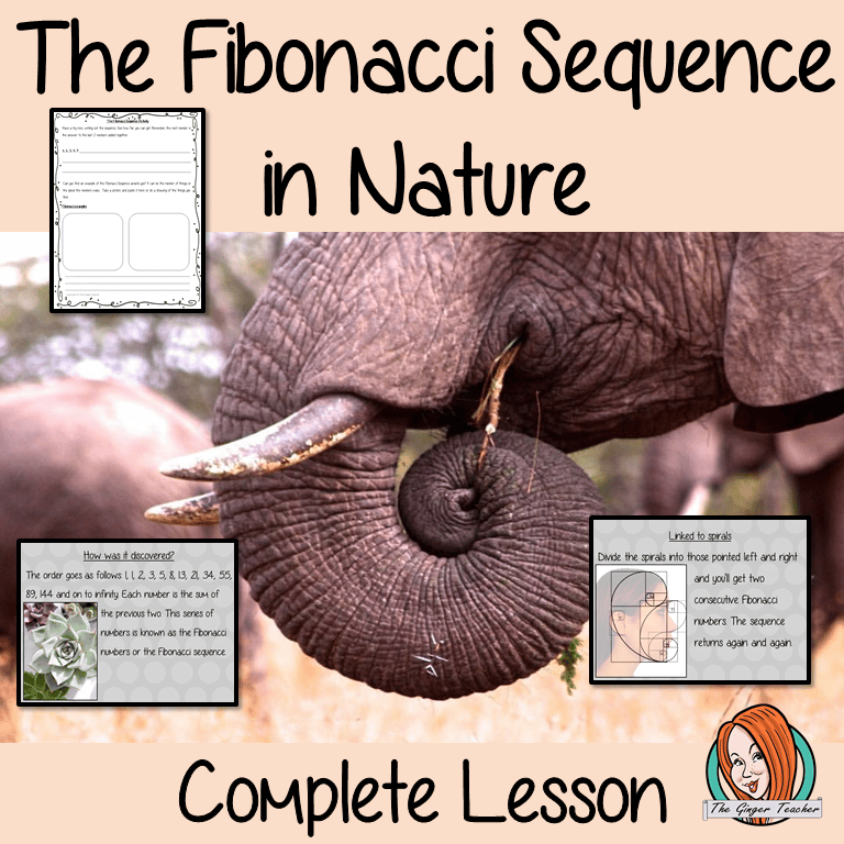 Why does Fibonacci appear in nature?