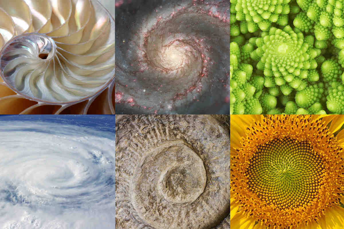 Why is the golden ratio beautiful?