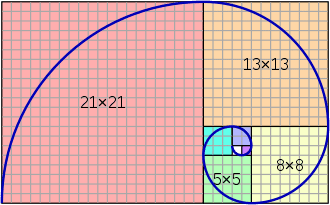 Why is the golden ratio everywhere?