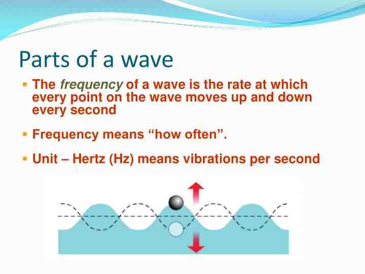 What are the 5 parts of a wave?