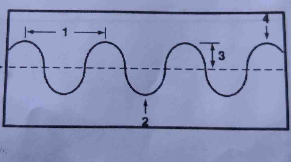 What are the types of transverse waves?
